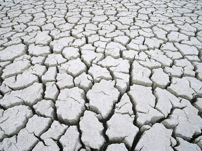 Światowy Dzień Ziemi