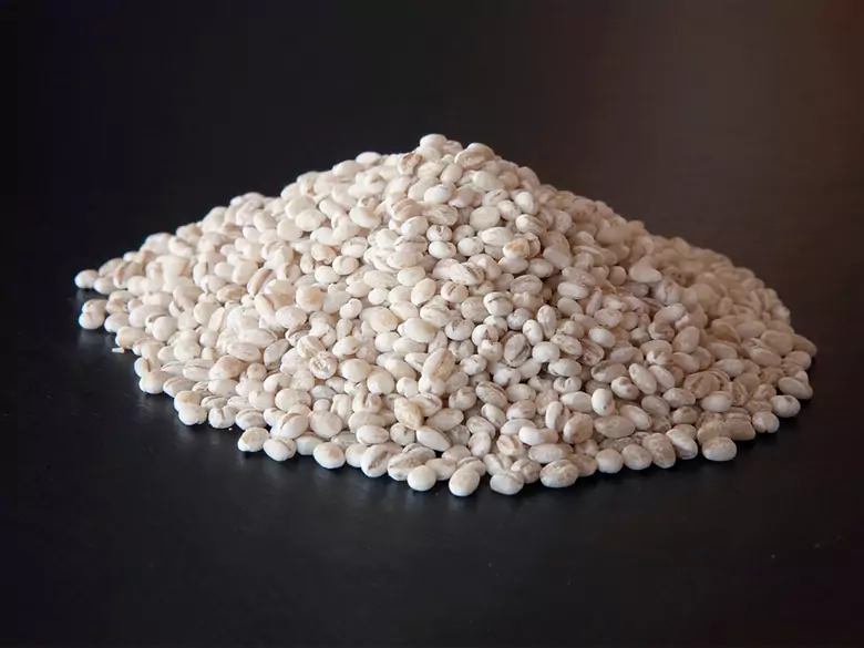 Jaki ryż jest najzdrowszy dla nas najzdrowszy?