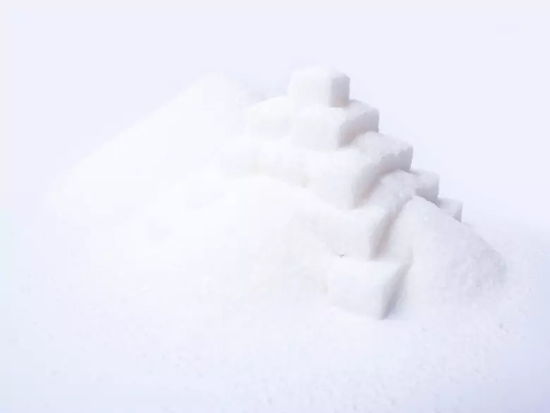 Cukrzyca typu 1 a bakterie z przewodu pokarmowego?