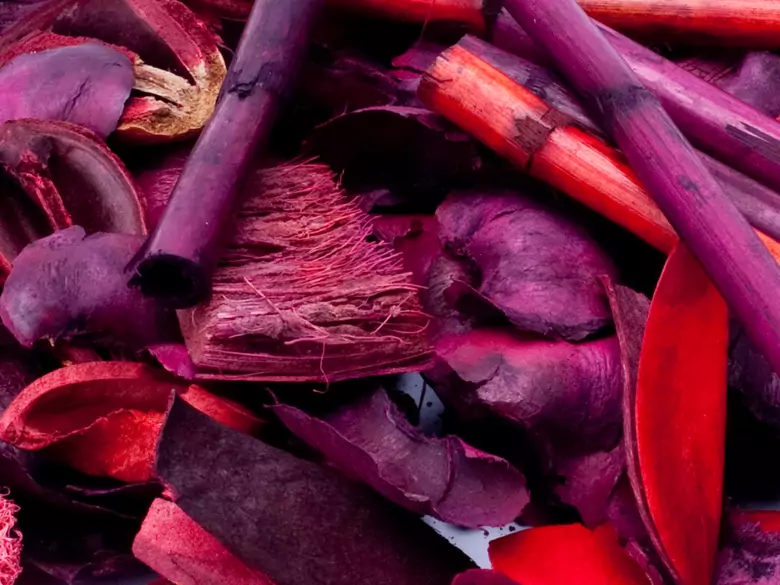 Cynamon, goździki, kardamon – zimowe wzmacniacze odporności