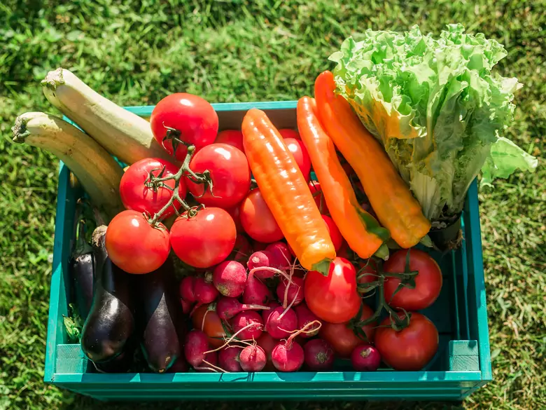 Co to jest dieta paleo i czy jest zdrowa?