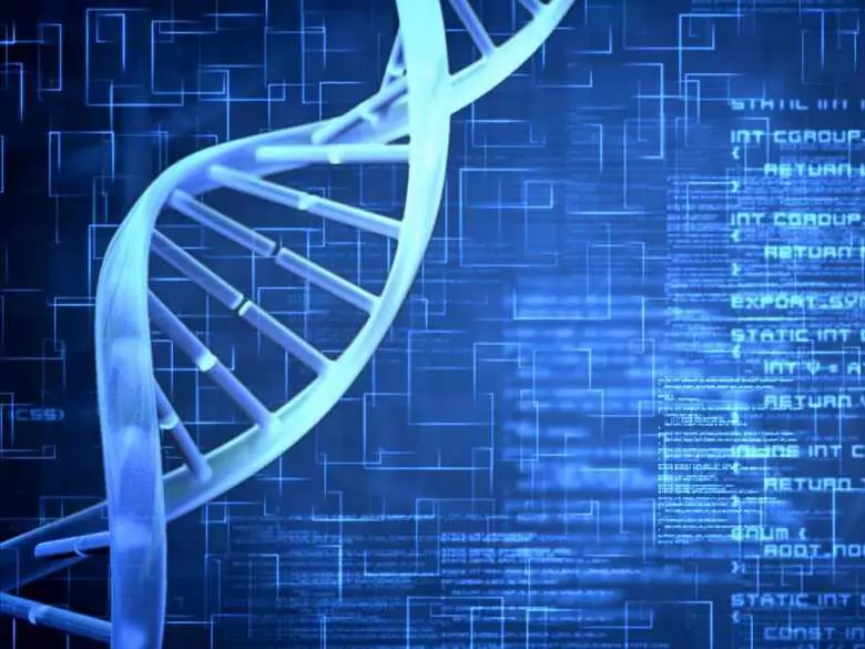 Tajemnicza choroba Takahary