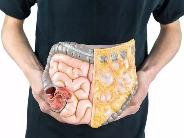 Co to jest dieta FODMAP i dla kogo jest zalecana?