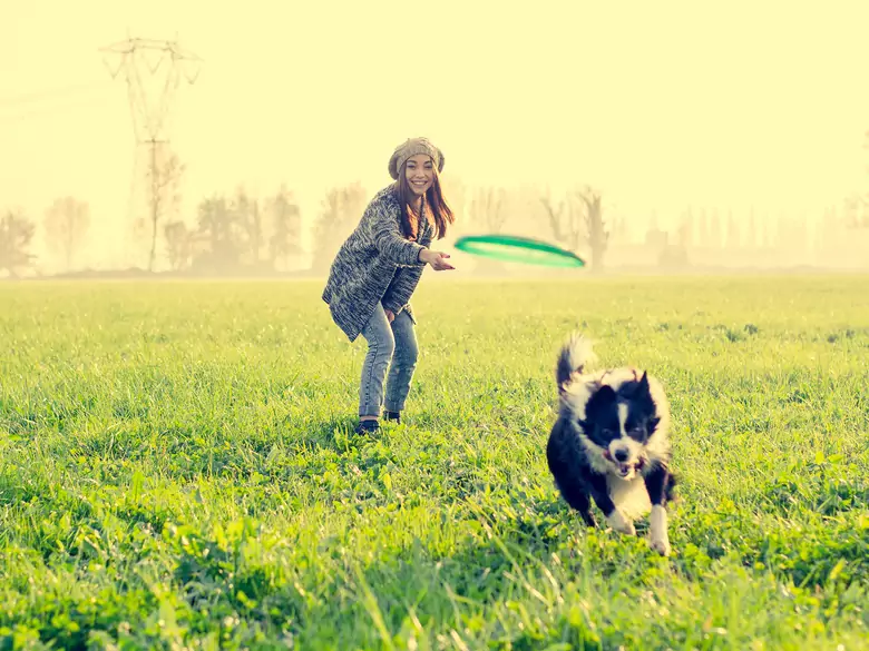 Czy zwierzęta tak naprawdę kochają ludzi?