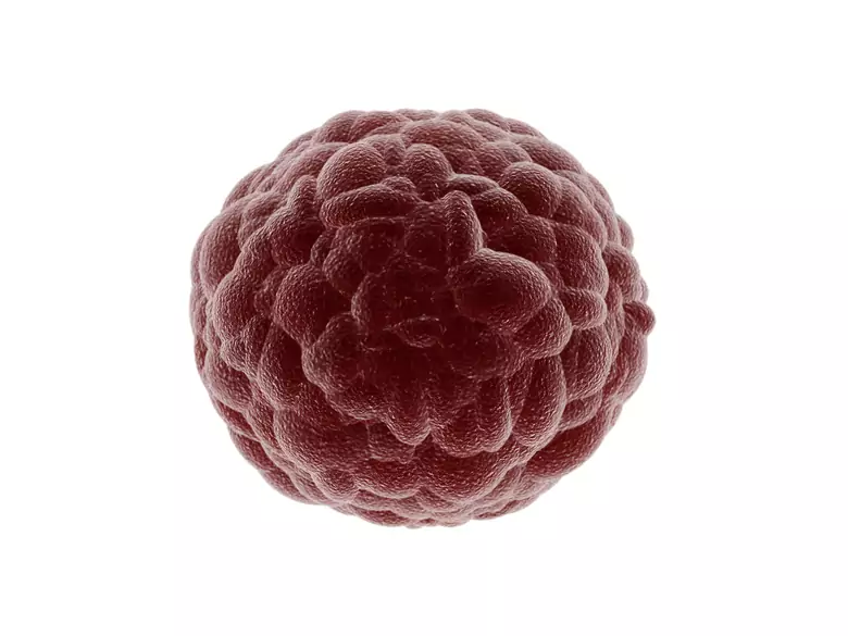 Jak leczyć choroby autoimmunologiczne?