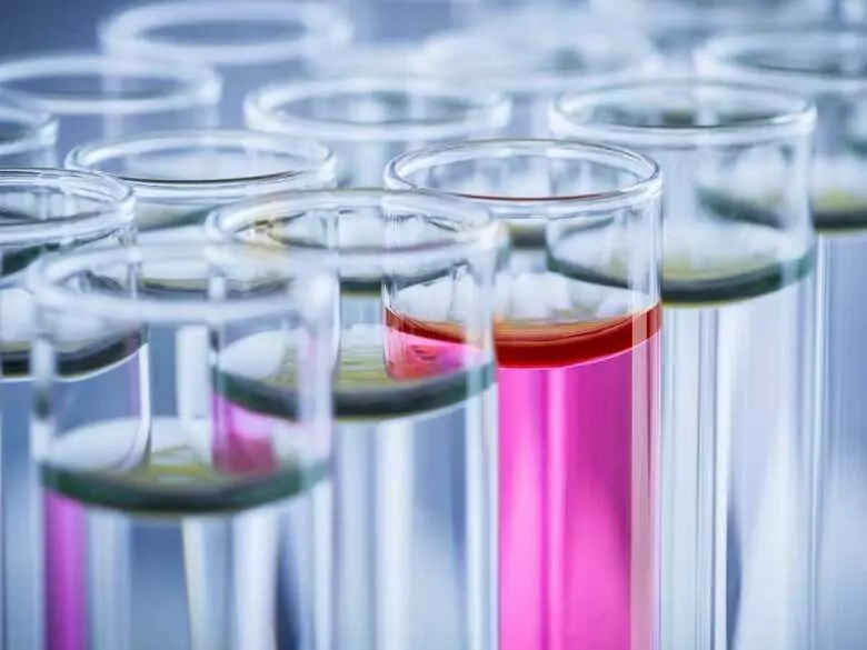 Rodzaje komórek macierzystych i ich zastosowanie w różnych dziedzinach medycyny