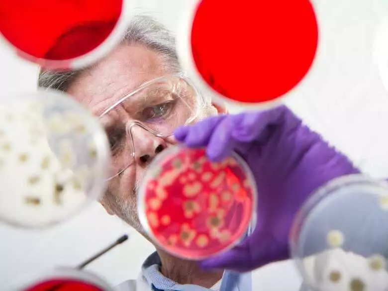 Masz za dużo żelaza w organizmie? Dowiedz się, co jest tego powodem