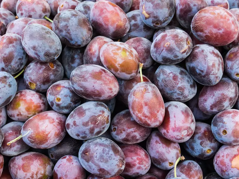 Jakie są korzyści z jedzenia śliwek?