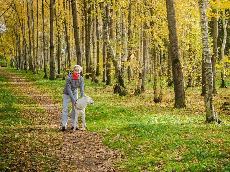 Jakie są korzyści z regularnego spacerowania?