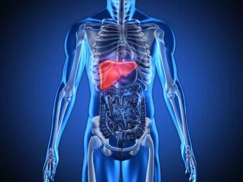 Masz wysoki poziom ferrytyny w organizmie? Oto odpowiedź, dlaczego…