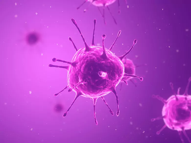 Szybki testy na wirusa Ebola dopuszczony do użytku